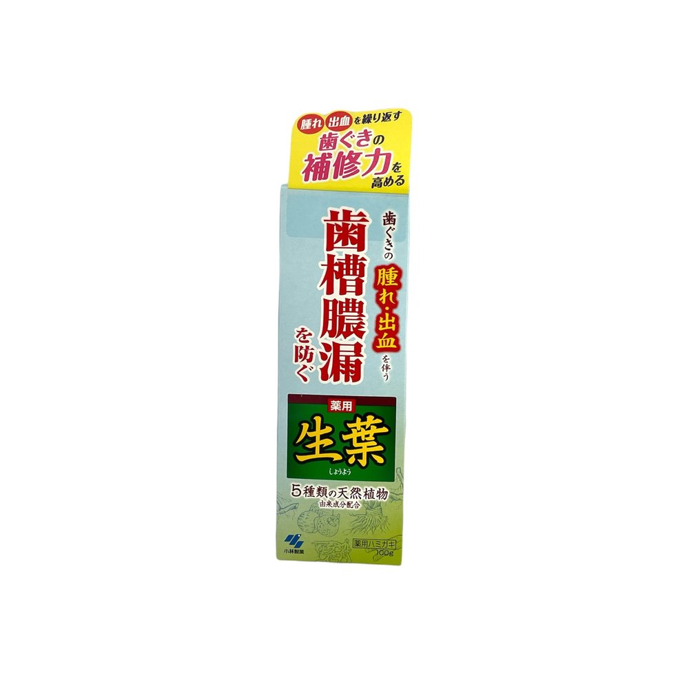 小林製藥藥用生葉牙膏１００ｇ - 大國藥妝