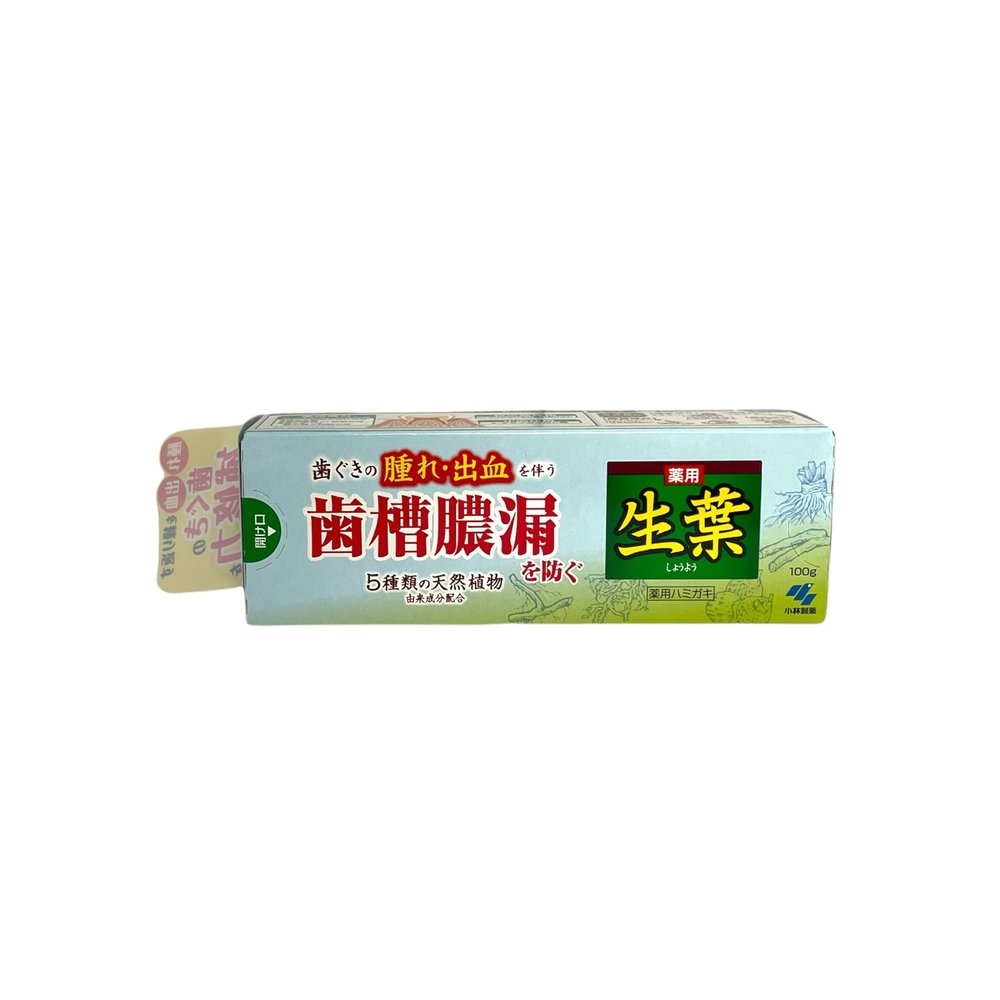 公式の店舗 小林製薬の薬用ハミガキ 生葉EX 100g ×